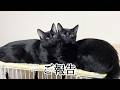 ご報告になります
