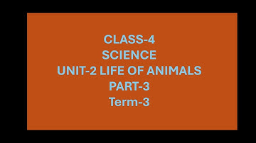Class-4/science/unit-2/term-3/Part-3/life of animals/group behavior animals/activity/birds/elephants