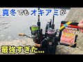 「ジグヘッド」と「オキアミ」で真っ昼間に釣りをしたら面白すぎた！