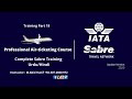 How To Name Entries Of Adult, Child ,Infant in Sabre|Name Field| Training Part-18|پروفیشنل ایرٹکٹینگ