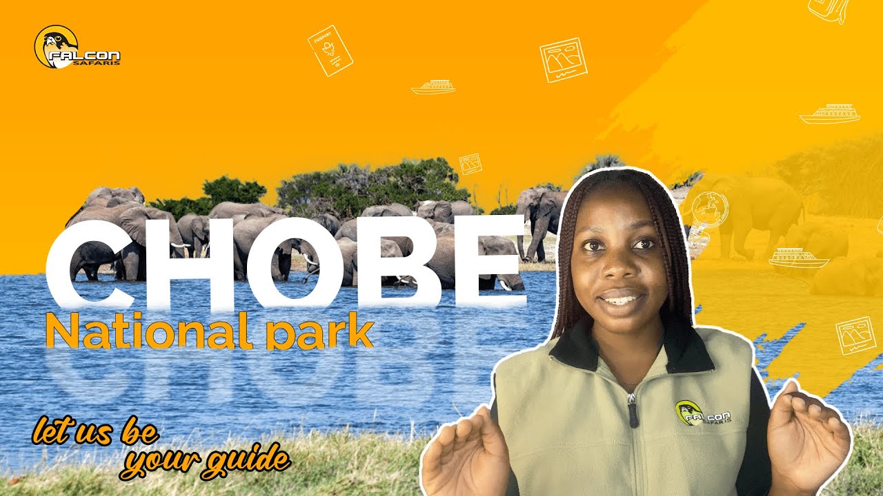 Chobe national park in Botswana - What to See?