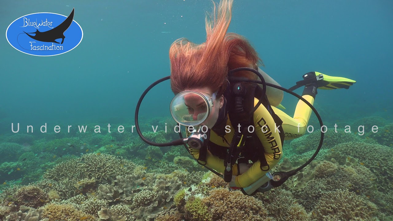 0527_Woman diving over coral reef with open hair flowing in the current, 4K underwater footage