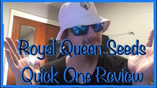 Royal Queen Seeds Quick One Autoflower Review