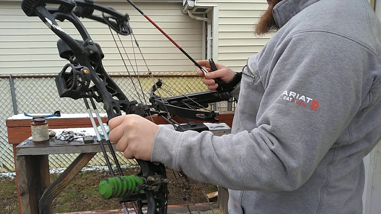 Hoyt charger  compound bow target shooting