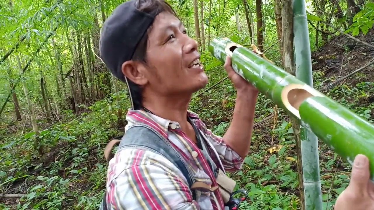 เดินป่าหาอาหารแบบบ้านๆ