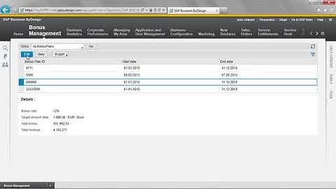 Testing Custom Business object through business user in SAP C4C