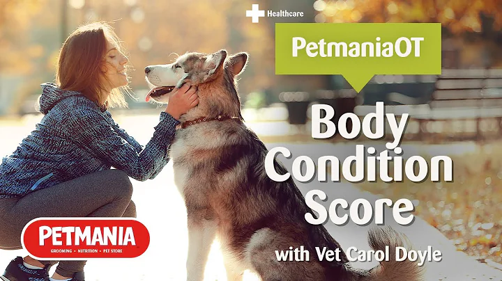 Body Condition Scoring for Dogs with Vet Carol Doy...