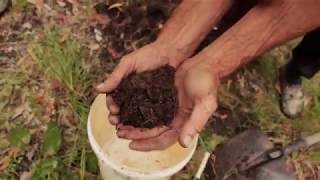 FERAL ( Charlie Soukup ) 2018, official trailer FERAL ( Charlie Soukup ) 2018, official trailer