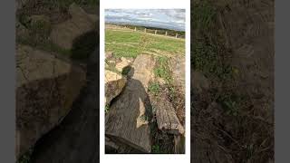 Tenere 700 &amp; Honda CRF 300 #tenere700 #maxienduro #advbike #offroad