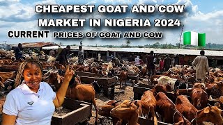 BUYING BIG GOAT AND COW IN THE BIGGEST GOAT AND COW MARKET IN LAGOS NIGERIA 🇳🇬 | COST OF LIVING 🌎