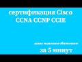 уровни сертификации Cisco, цены, экзамены, условия обновления