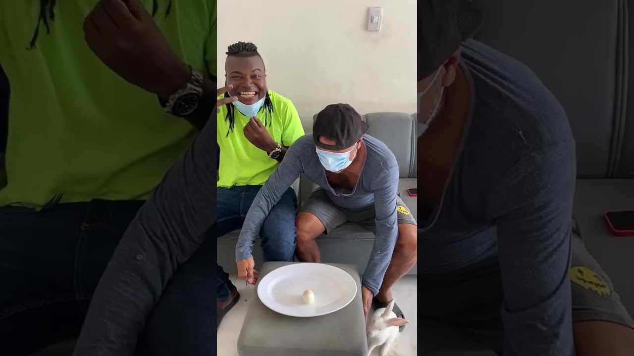 Quien se come el huevo 🥚 primero 🤣