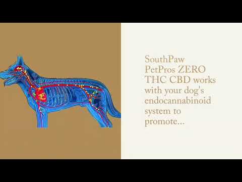 Shark Tank CBD Gummies for Pain: Reviews, Benefits, and Risks