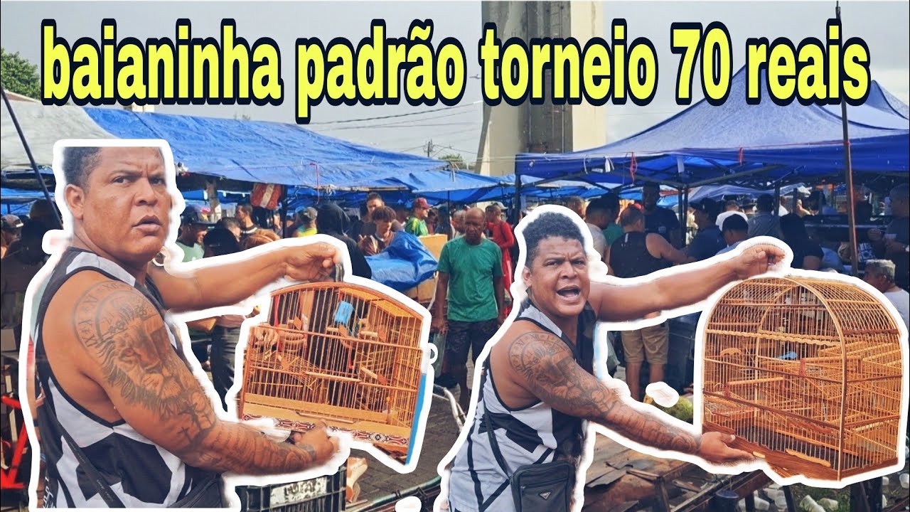 FEIRA de pássaros é gaiolas do cordeiro gaiolas tudo barata  apartir de 20 REAIS 17/08/2025