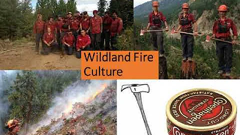 The Wildfire Within: Firefighter perspectives on gender &  leadership in wildland fire