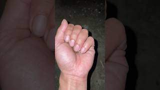 Finding four cute snail #shorts #snailhunter #animals #viralshort