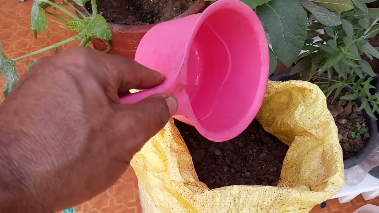 Les secrets d'une agriculture  réussite..أسرار نجاح الزراعة المنزلية