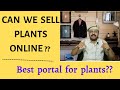 Can we sell plants 🌱 online | sell plants from home | #thebabylonian #makemoneyonline