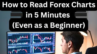 How to Read Forex Charts in 5 Minutes (Even as a Beginner)