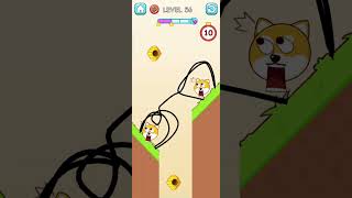 Protecting Dog From Hani Bee Pt-1