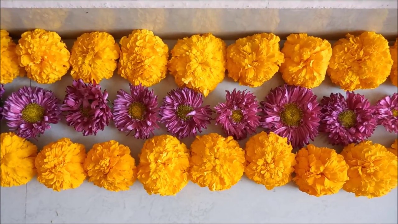 Featured image of post Flower Rangoli Border Designs Images Is huge numbers of these made examples have been passed on from era to era from moms to girls