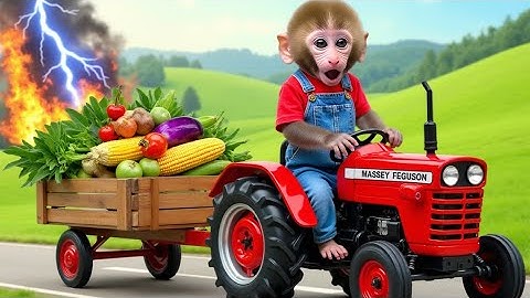 Monkey Nana drives a wood loaded tractor, encounters trouble, and has to seek help from a friend 