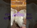 28 сентября 2023 г.