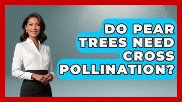 Do Pear Trees Need Cross Pollination? - Ecosystem Essentials