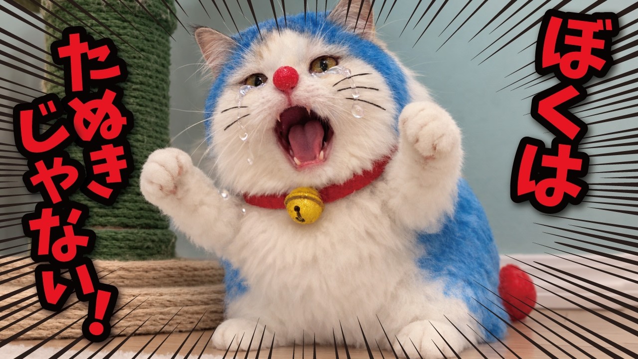 maxresdefault.jpg
