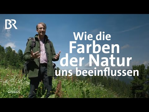 Grau, Grün, Blau: Wie die Farben der Natur uns beeinflussen | Gut zu wissen | BR