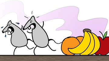 Epigenetics: Why Inheritance Is Weirder Than We Thought