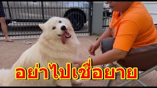 ทำไมไม่มีใครรักไม่มีใครสนใจยายเลย