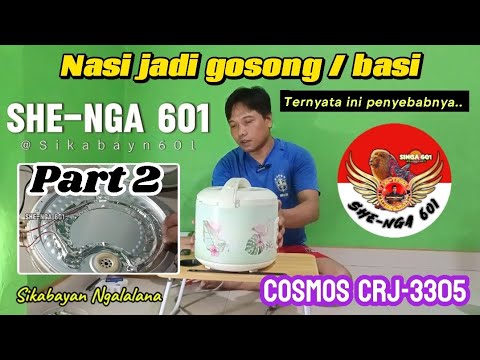 Penyebab Nasi Gosong / Basi - RC Cosmos CRJ 3305