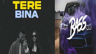 Tere Bina - Garry Sandhu ft Miss Pooja | New Punjabi Video Song 2024