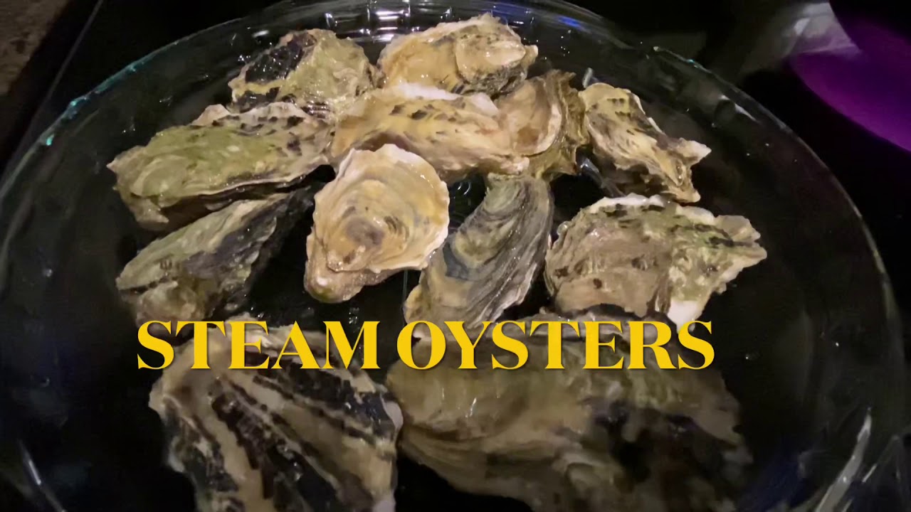 STEAMED OYSTERS | AGNES TREND