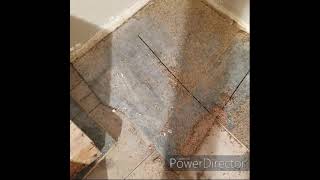 Simple way to remove nailed down underlayment/subfloor Net Worth
