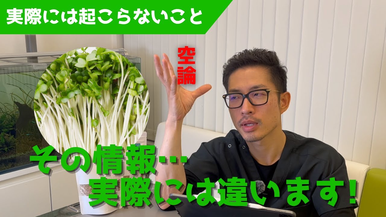 【質問コーナー】インコが豆苗の食べ過ぎで来院した経験は？セキセイインコの男の子のろう膜が茶色になったり水色になったりする？セキセイインコが時々飛べなくなる...なぜ？などにお答えしました！