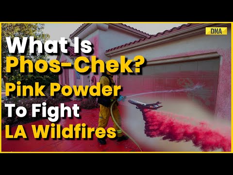 Los Angeles Wildfires: What Is Phos-Chek? Pink Powder Dropped By Planes To Fight California Wildfire