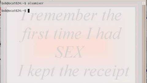 ALSA Sound Settings Adjustments Ubuntu 9.10