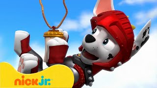 PAW Patrol | PAW Patrols größte ZAHNrettungen! | Nick Jr. Deutschland