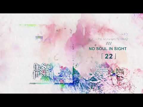 No Soul In Sight - 22 (Melodic Hardcore, China)