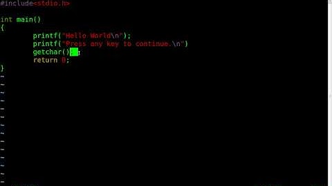 C Programing - Part 5 - Wait to Exit