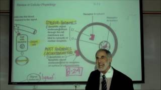 RECEPTOR SITES & SIGNAL MOLECULES; Neurotransmitters, Hormones & Drugs by Professor Fink