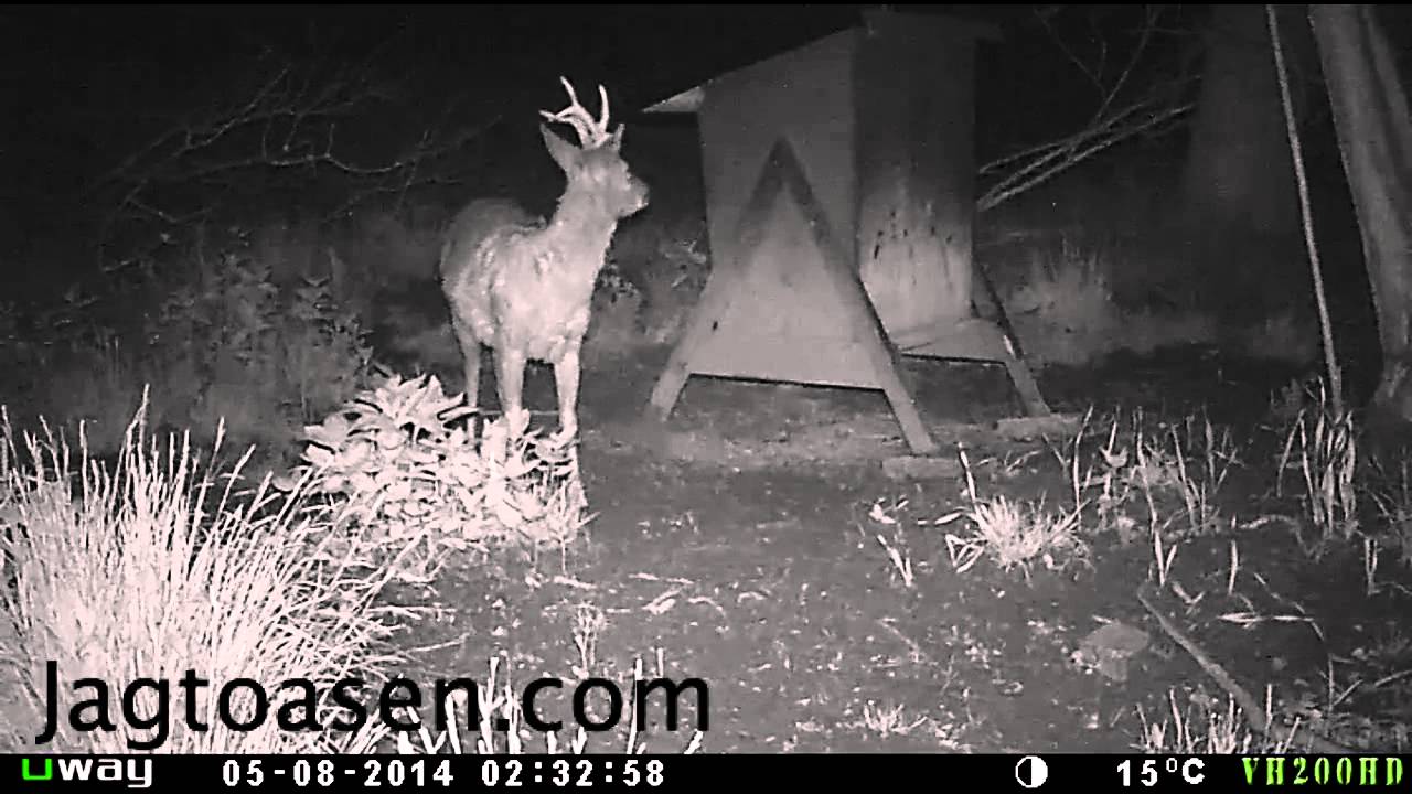 Uway videooptagelser om natten