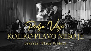 Video thumbnail of "Pedja Vujic - Koliko plavo nebo je (orkestar Vlade Vrcinca)"