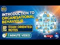 Introduction to Organizational Behavior | OB Basics for Management students