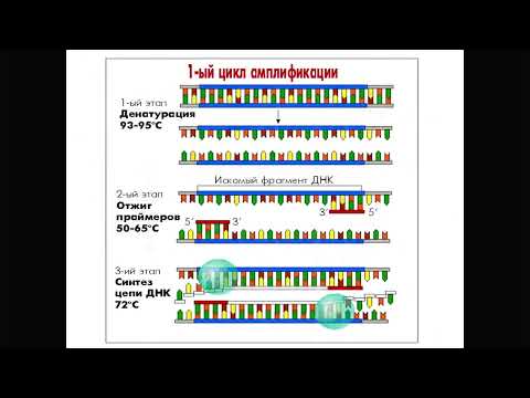 Методы анализа ДНК. Системы ДНК-диагностики