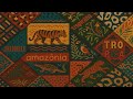 DREAMCOIL (Mix) - [Folktronica -  Organic Downtempo - Tribal - Shamanic - Psychedelic]