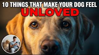 Why Your Dog Thinks You Don't Love Them | 10 Critical Mistakes