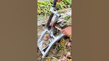 unique tool for cutting the roots of harvested onions #shorts